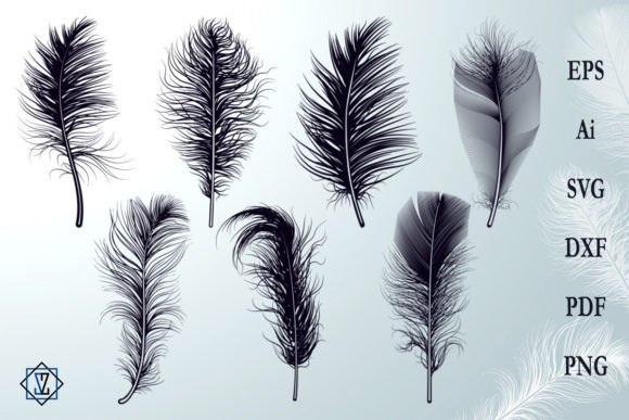 Bundle Fluffy Feathers Silhouettes SVG