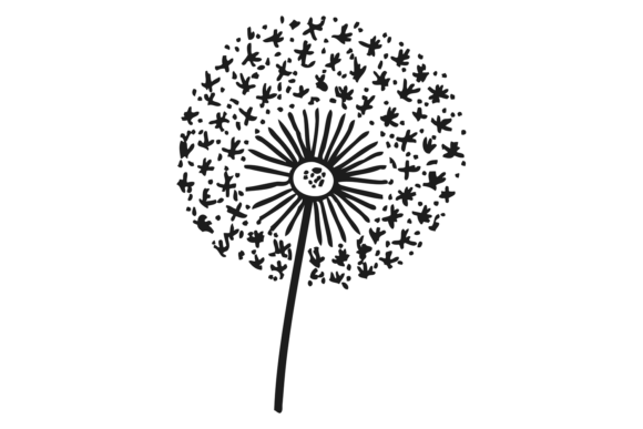 Dandelion in Black Ink Drawing: Floral D for Versatile Design Projects