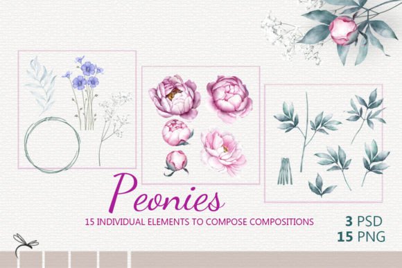 Set of Watercolor Floral Illustrations