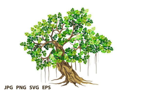 The Banyan Tree Vector Collection: Elevating Brand Identity and Creative Projects